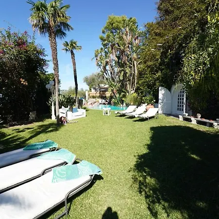 Le Palme Forio (Isola d'Ischia)