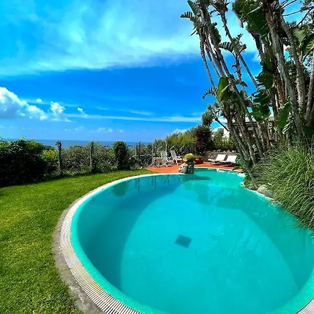 Le Palme Apartment