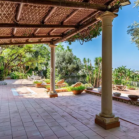 Apartment Le Palme Forio (Isola d'Ischia)
