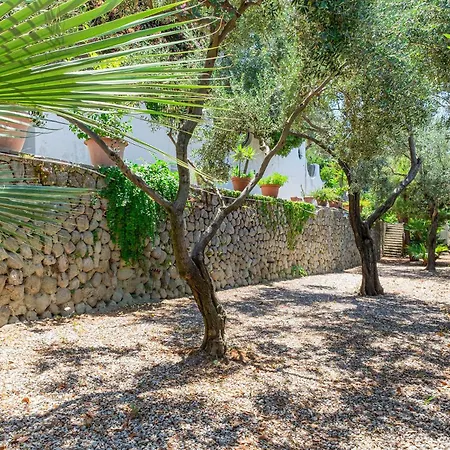Le Palme Apartment